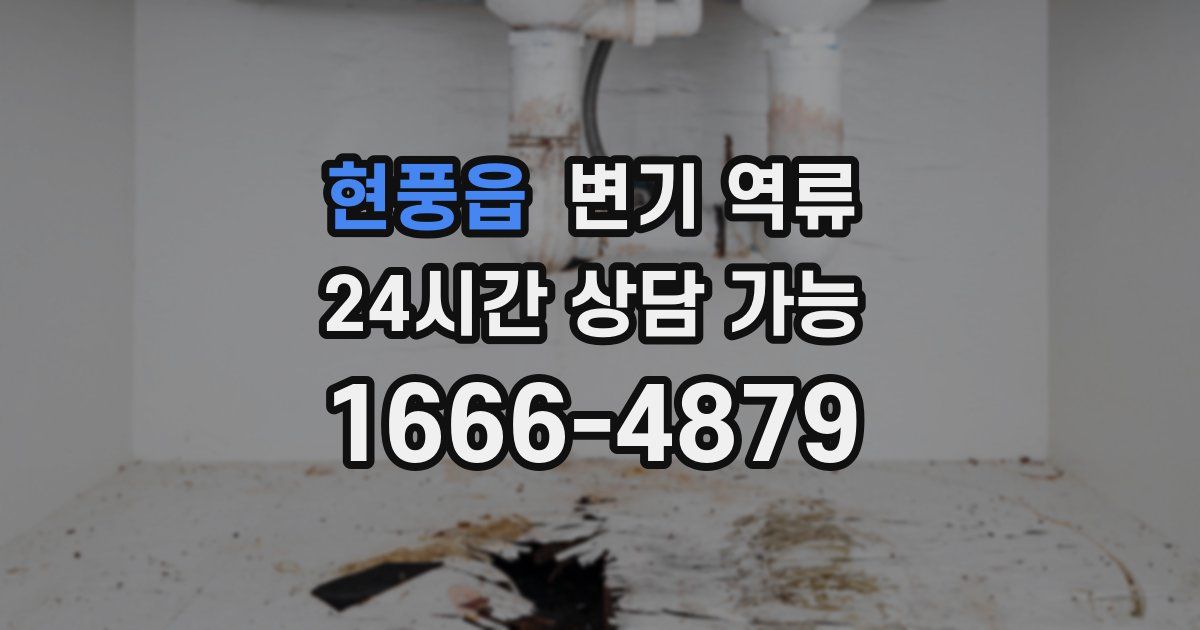 현풍읍 변기 역류