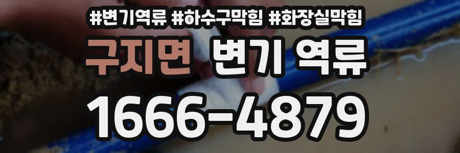 구지면 변기 역류