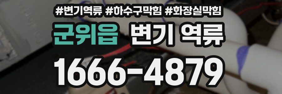 군위읍 변기 역류