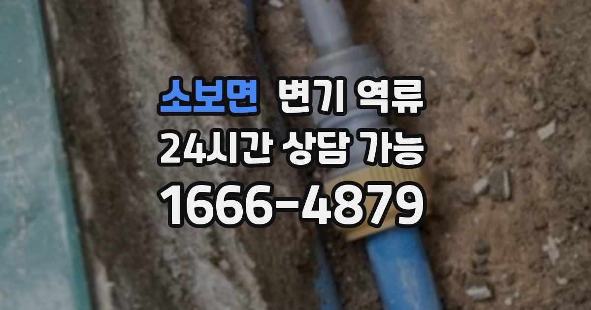 소보면 변기 역류