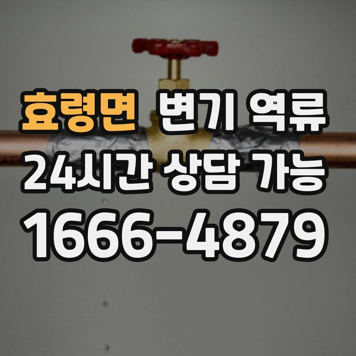 효령면 변기 역류