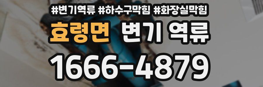 효령면 변기 역류