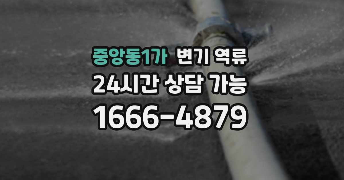 중앙동1가 변기 역류