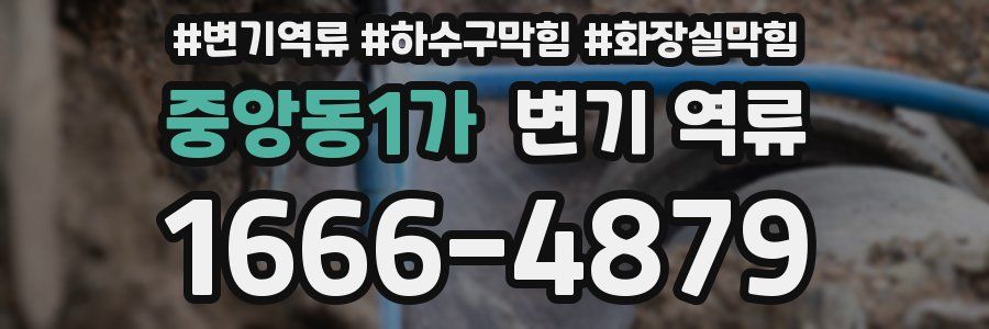 중앙동1가 변기 역류