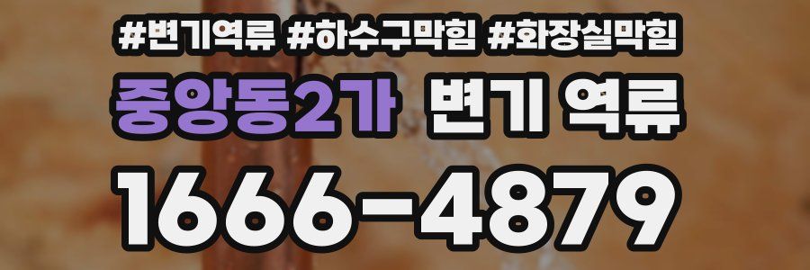 중앙동2가 변기 역류