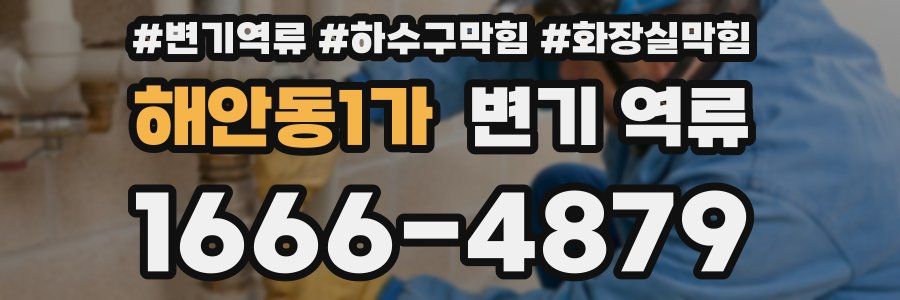 해안동1가 변기 역류