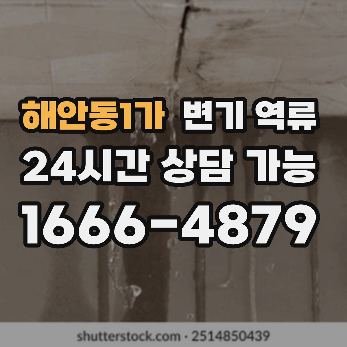 해안동1가 변기 역류
