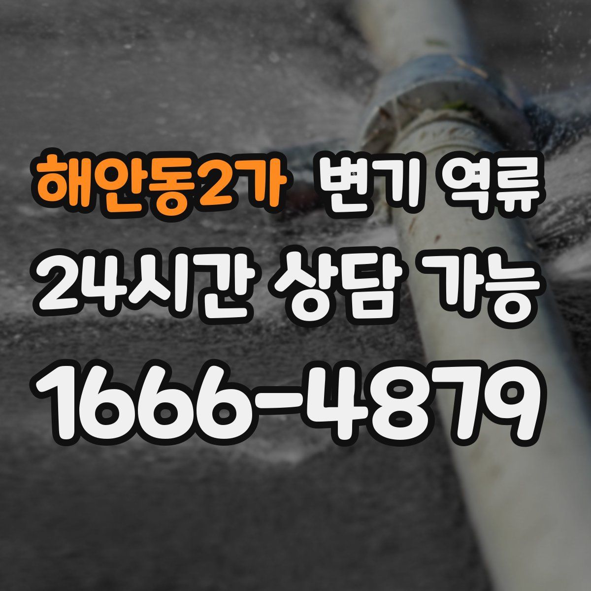 해안동2가 변기 역류