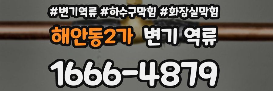 해안동2가 변기 역류