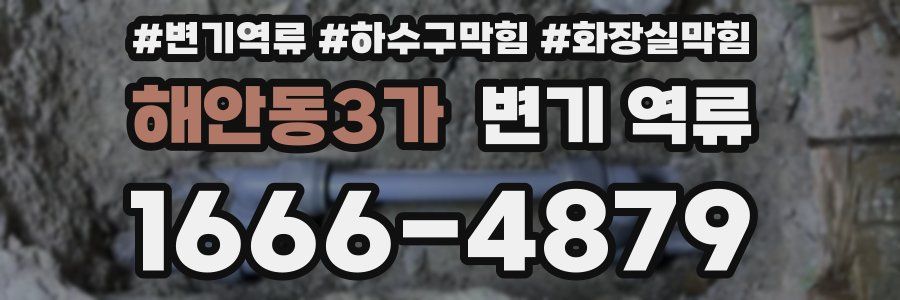해안동3가 변기 역류