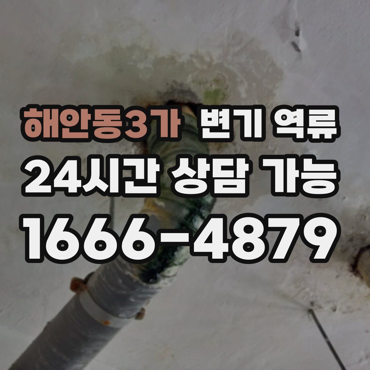 해안동3가 변기 역류