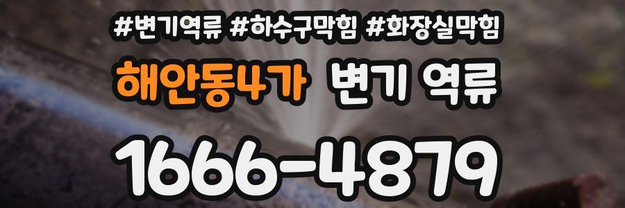 해안동4가 변기 역류
