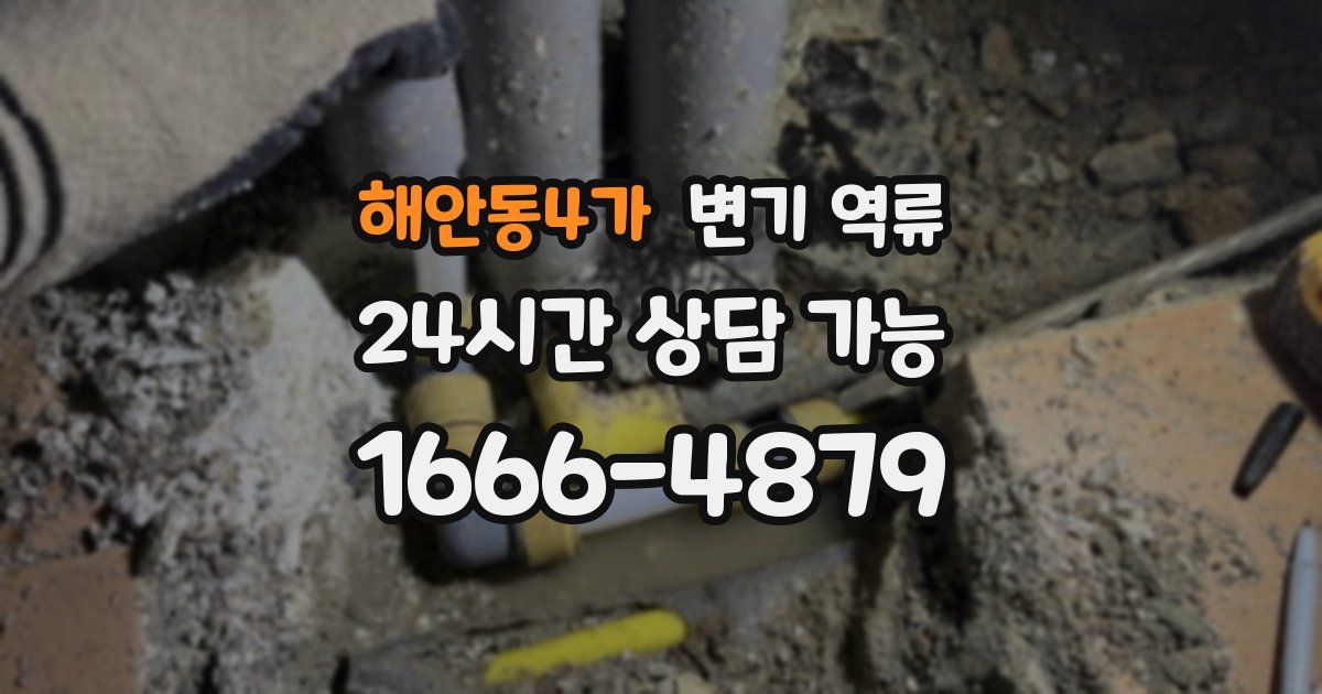 해안동4가 변기 역류