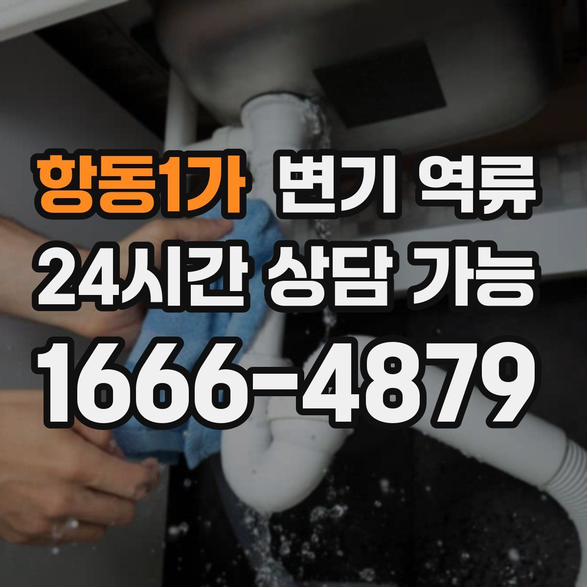 항동1가 변기 역류