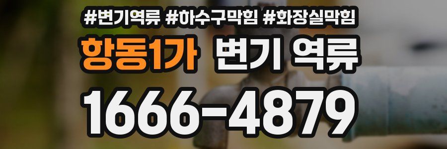 항동1가 변기 역류