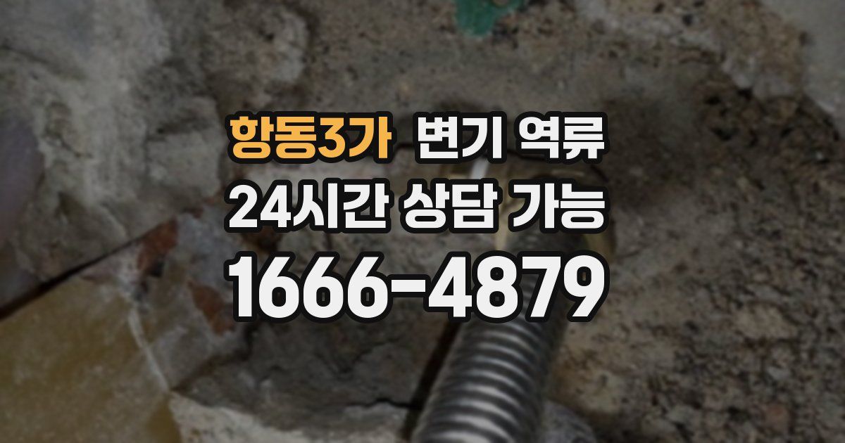 항동3가 변기 역류