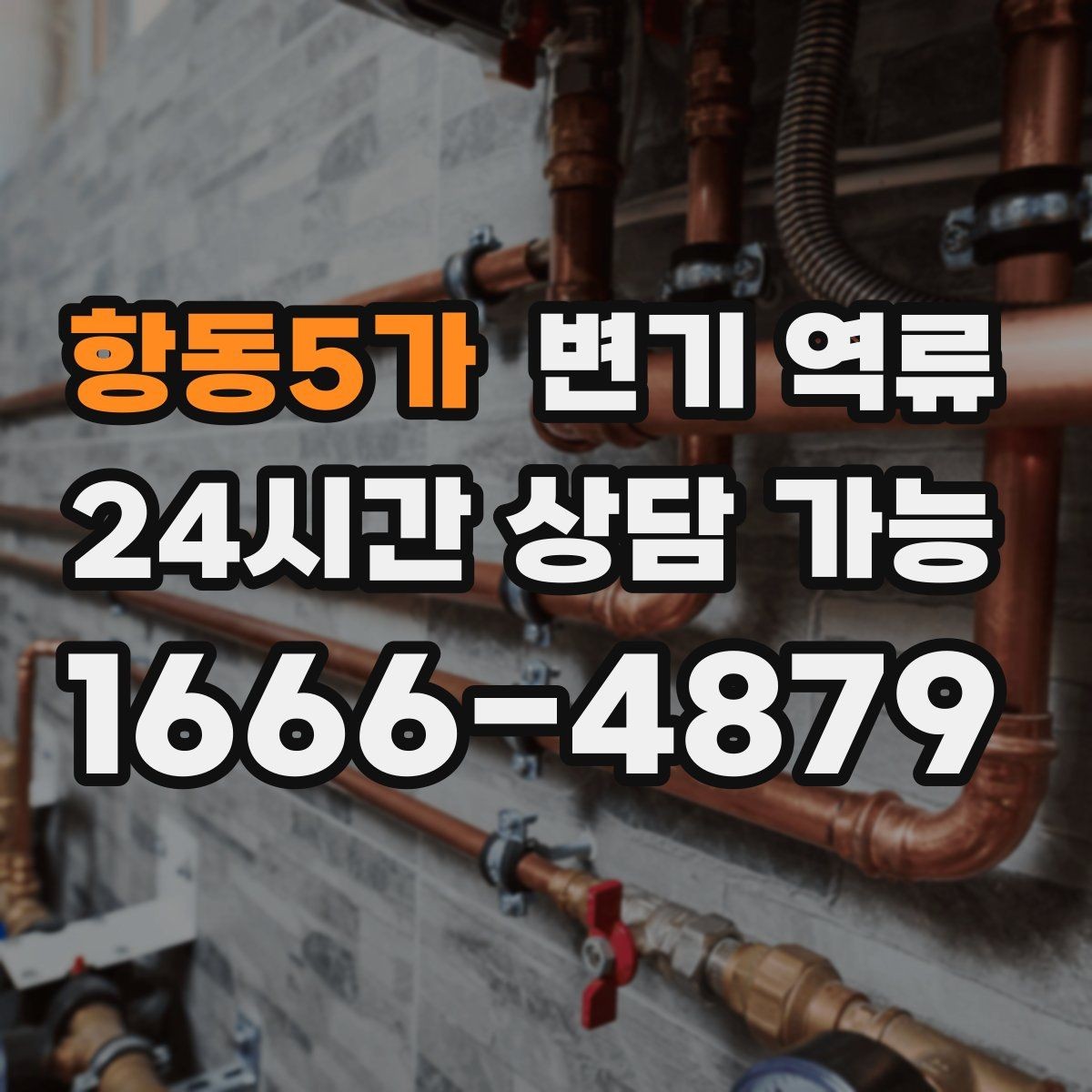 항동5가 변기 역류 아이 장난감이 빠졌을 때 대처 순서