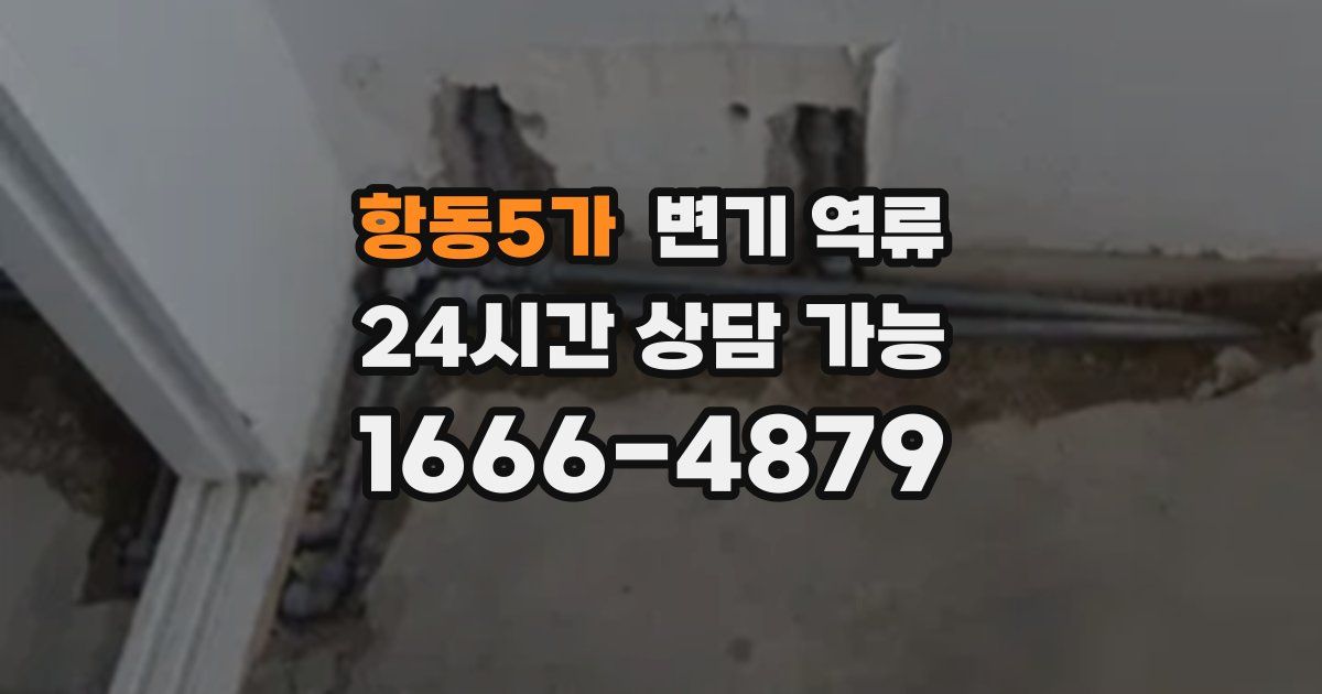 항동5가 변기 역류
