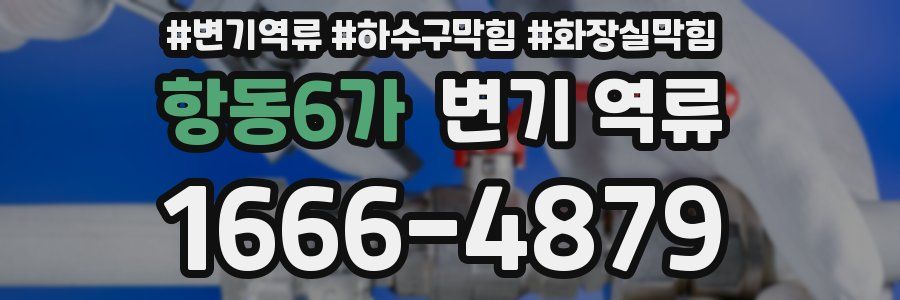 항동6가 변기 역류