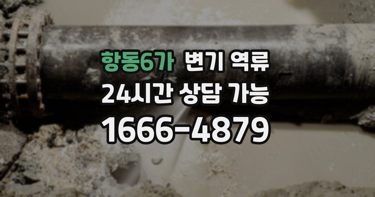 항동6가 변기 역류