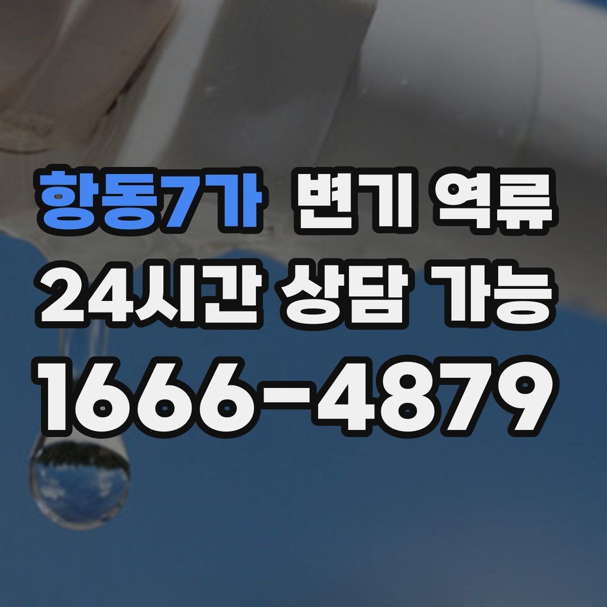 항동7가 변기 역류 오염수가 섞이면 위험한 이유