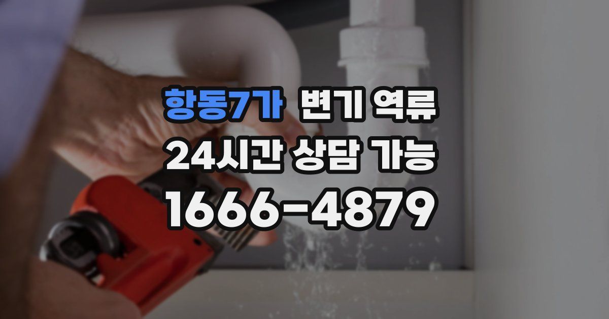 항동7가 변기 역류