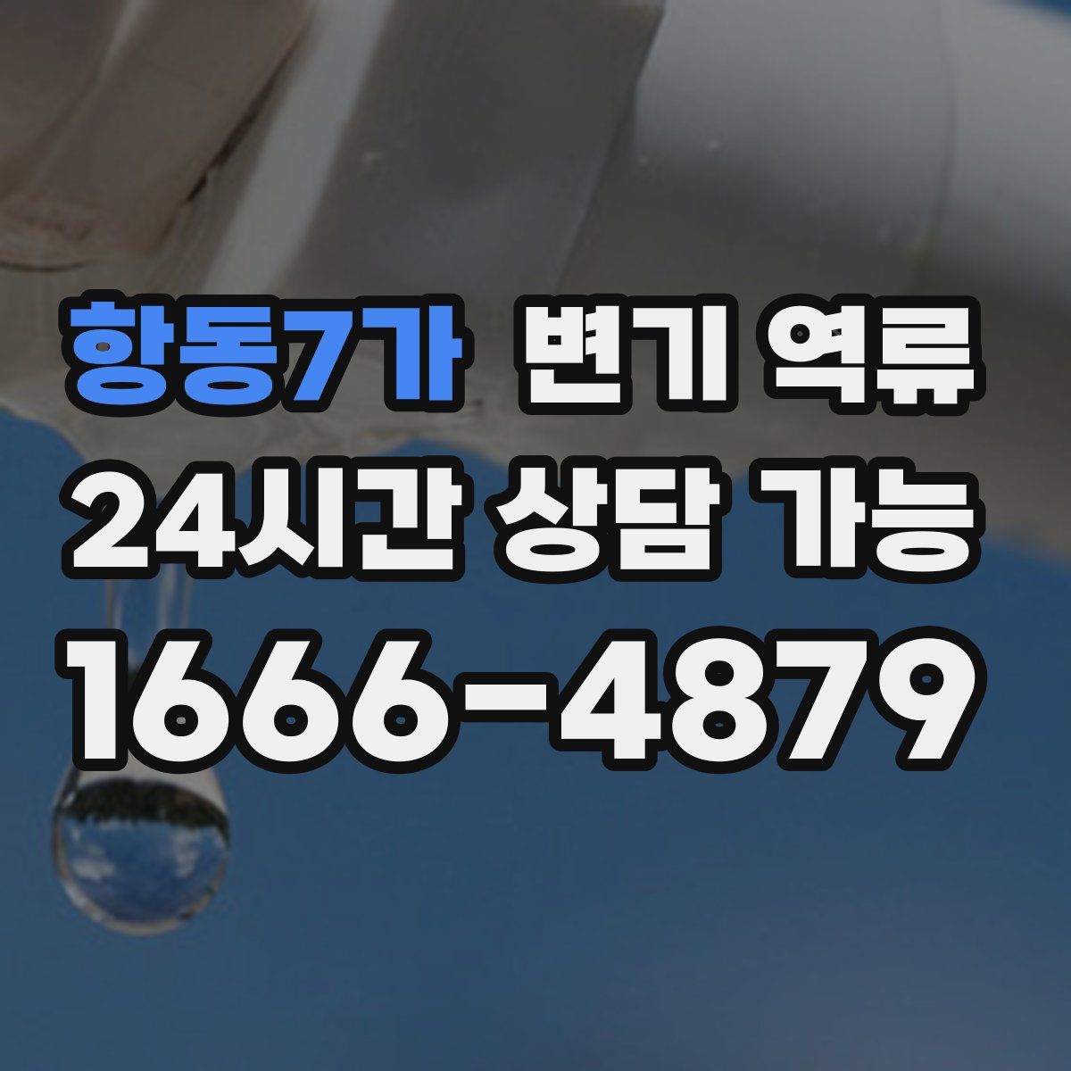 항동7가 변기 역류