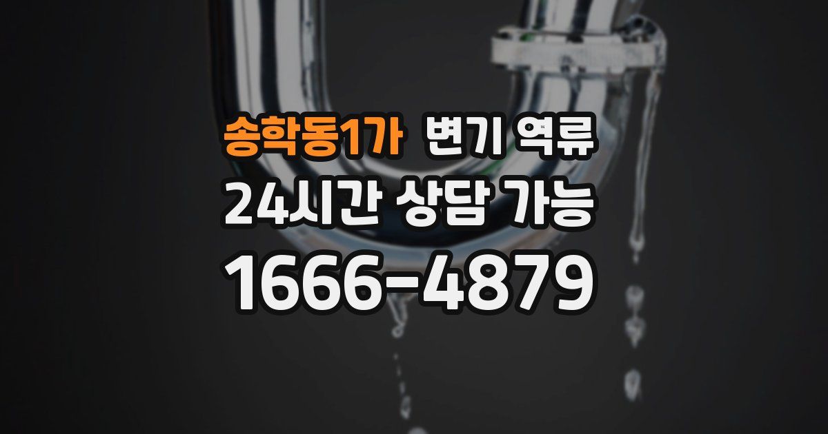 송학동1가 변기 역류