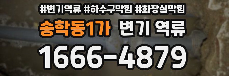 송학동1가 변기 역류