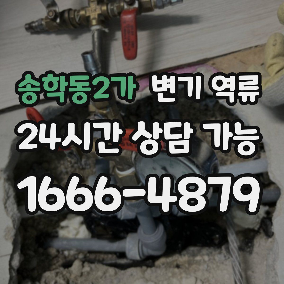 송학동2가 변기 역류