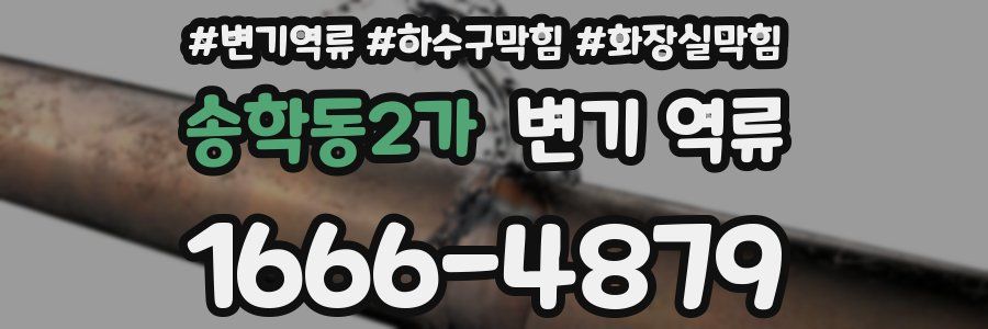 송학동2가 변기 역류