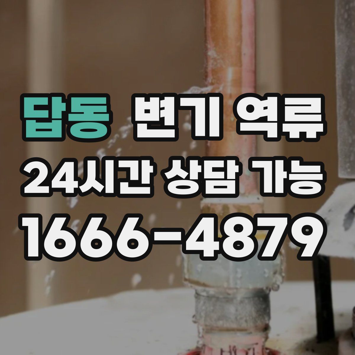 답동 변기 역류