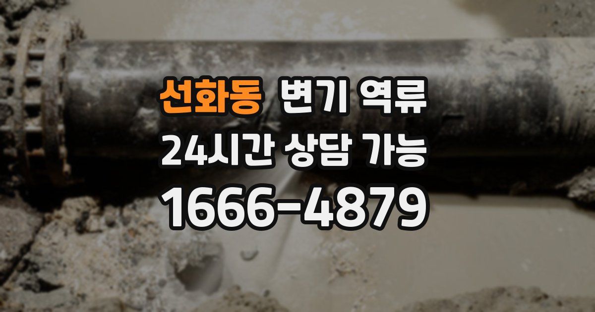 선화동 변기 역류