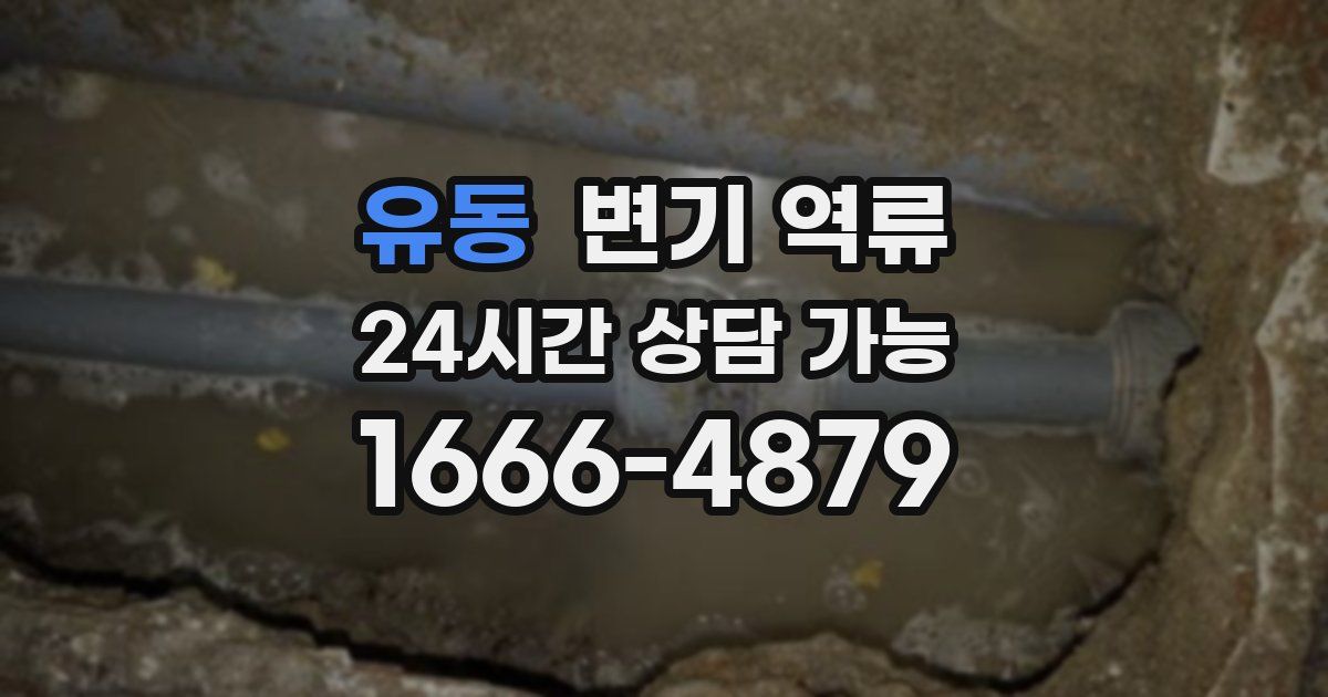 유동 변기 역류