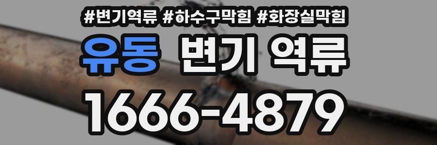 유동 변기 역류