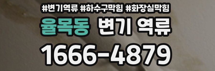 율목동 변기 역류