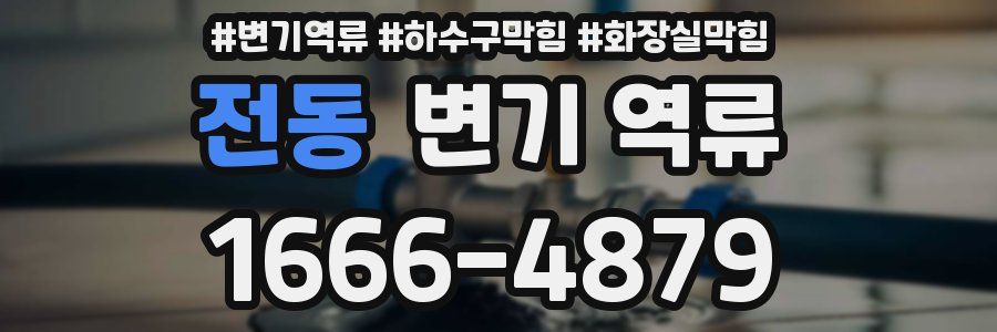 전동 변기 역류