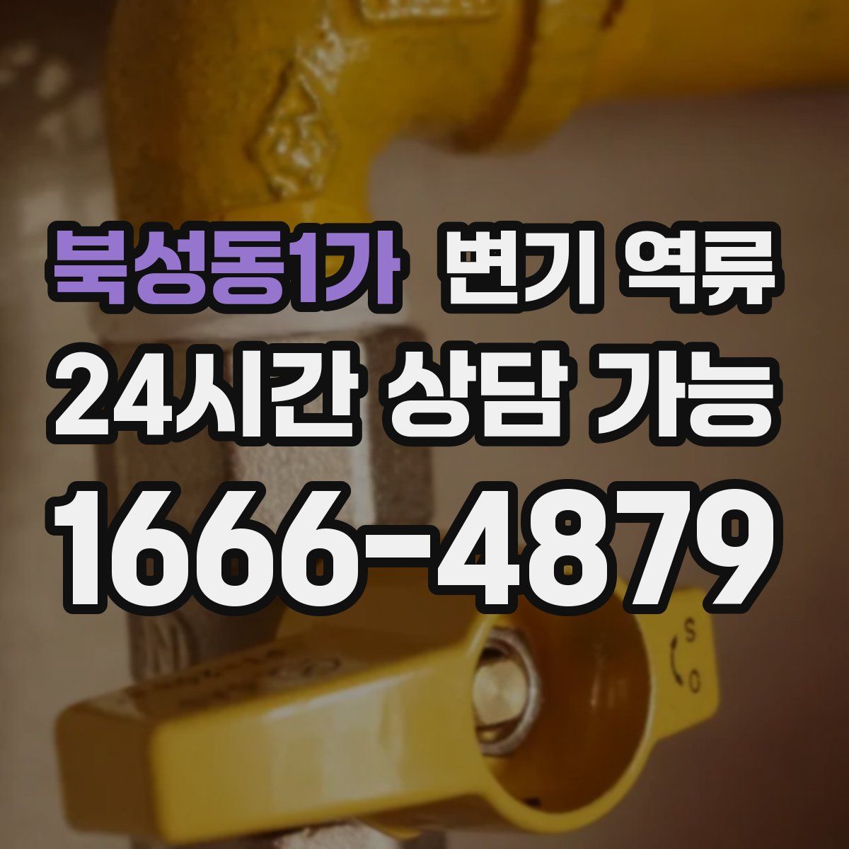 북성동1가 변기 역류