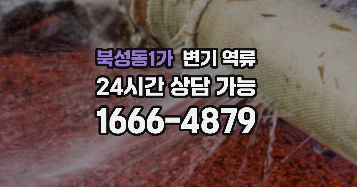 북성동1가 변기 역류