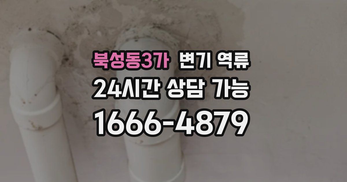 북성동3가 변기 역류