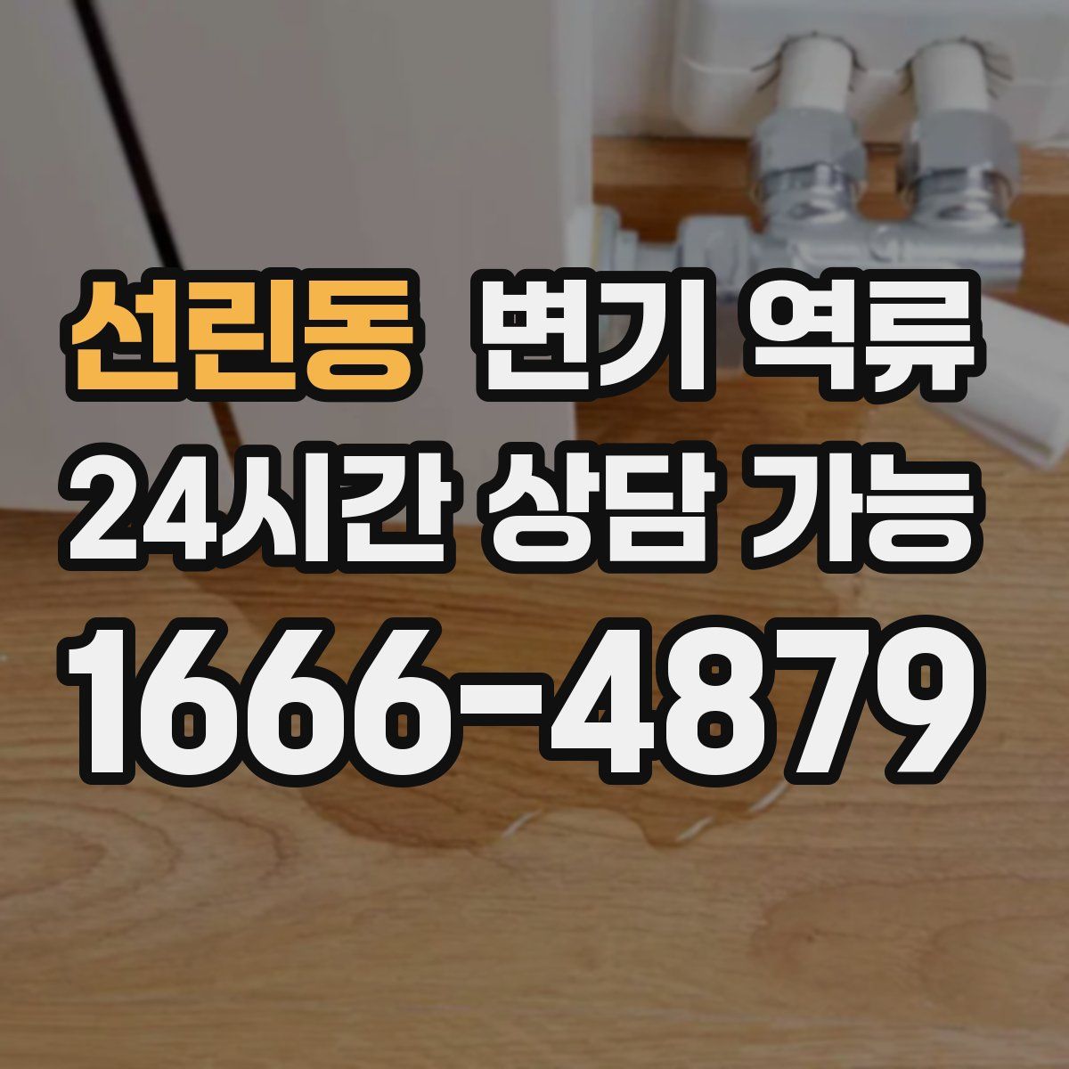 선린동 변기 역류