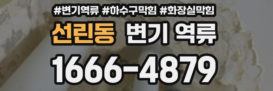 선린동 변기 역류