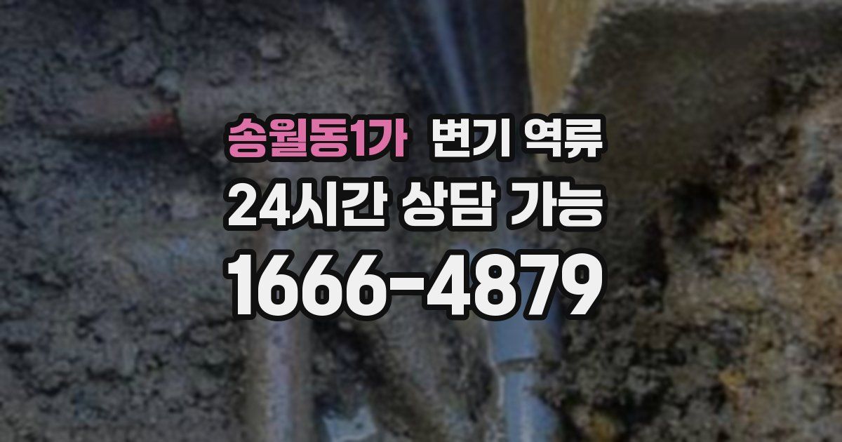 송월동1가 변기 역류