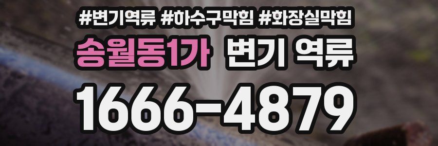 송월동1가 변기 역류