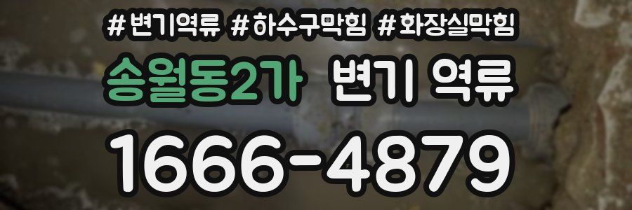 송월동2가 변기 역류