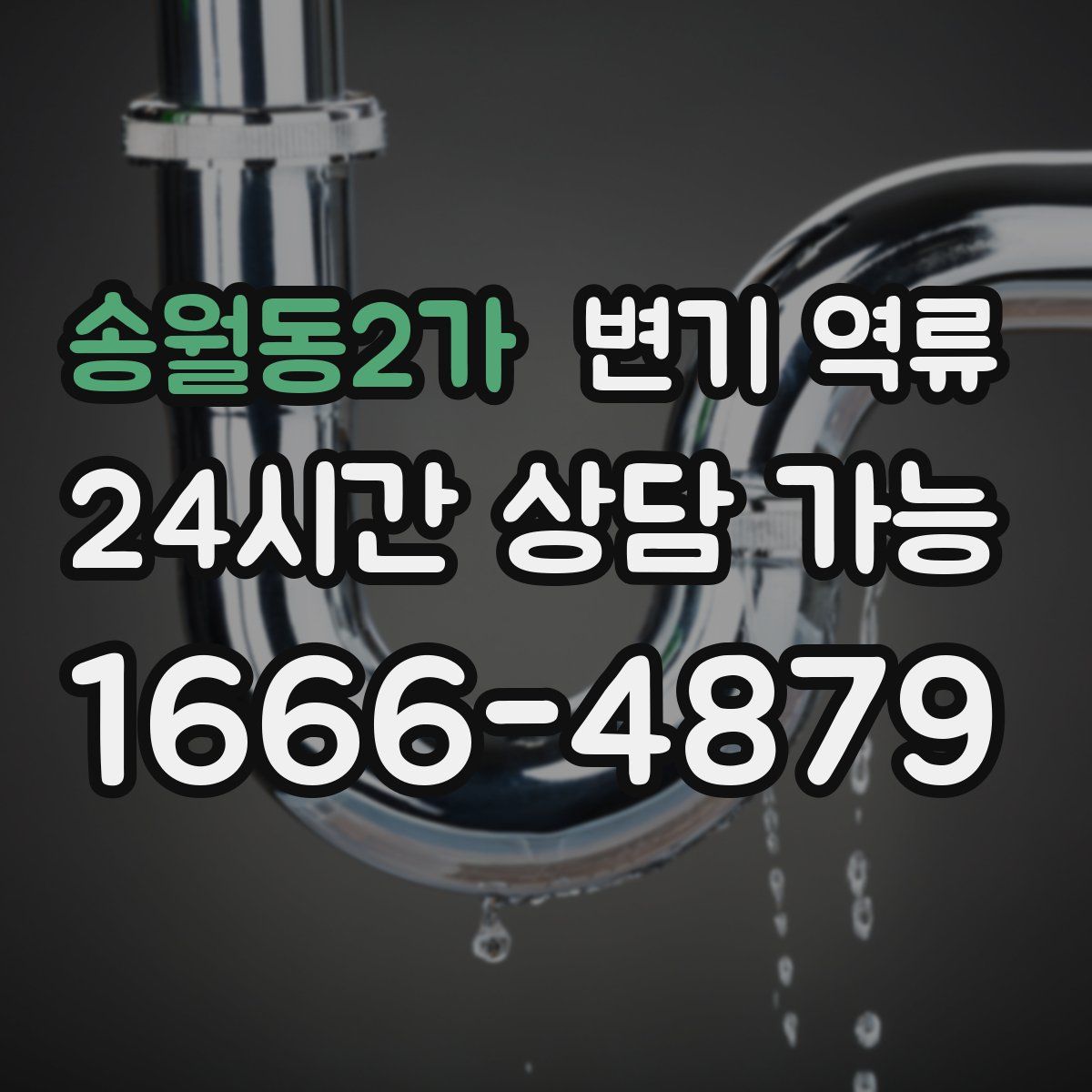 송월동2가 변기 역류