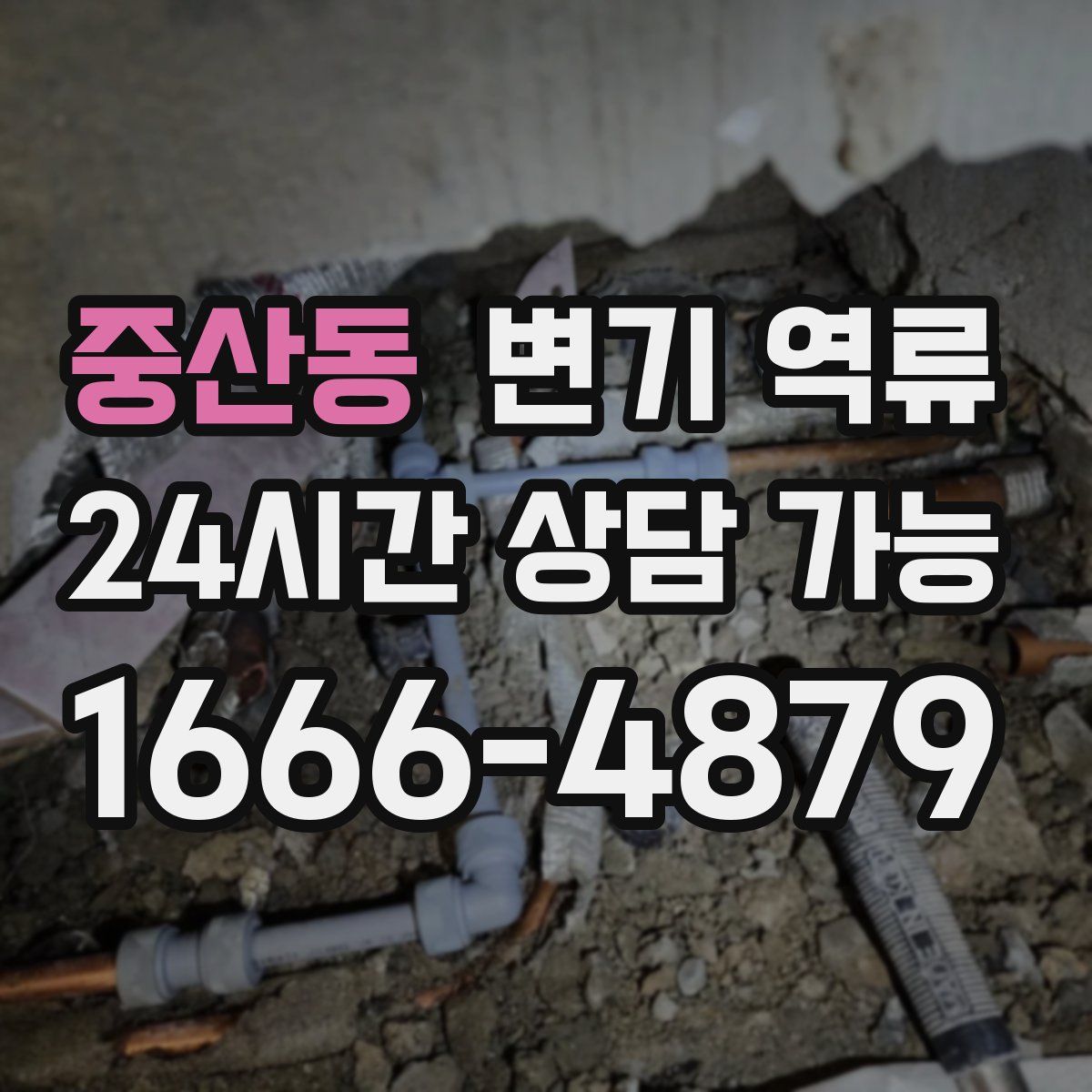 중산동 변기 역류