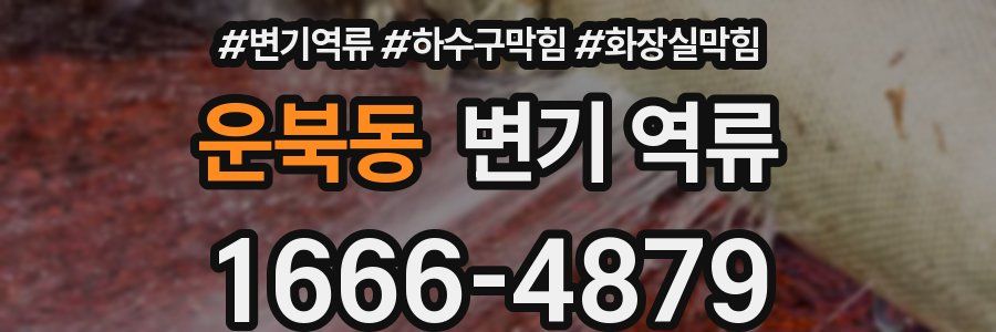 운북동 변기 역류