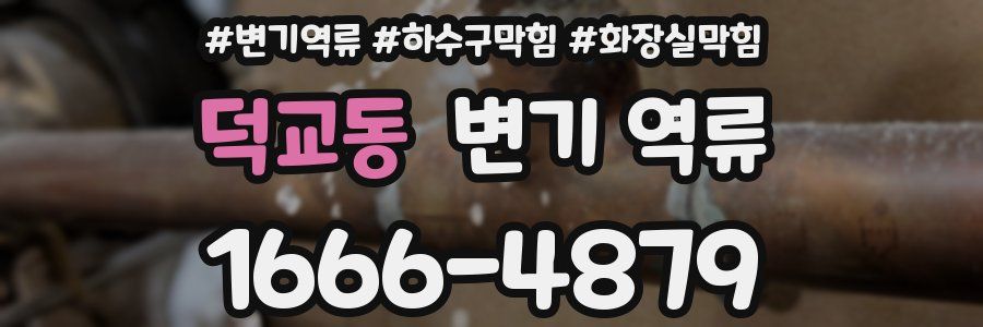 덕교동 변기 역류