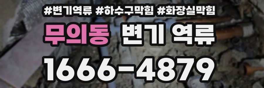 무의동 변기 역류